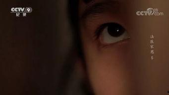 国产重口味视频,揭秘刺激感官的视觉盛宴 第3张 国产重口味视频,揭秘刺激感官的视觉盛宴 第3张